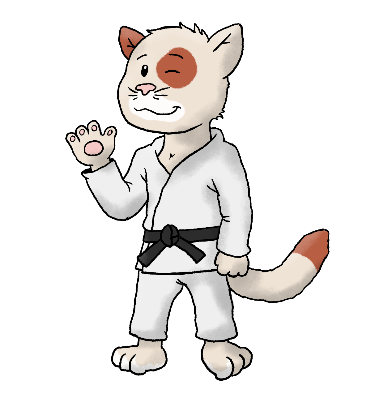 judo kat poes dier