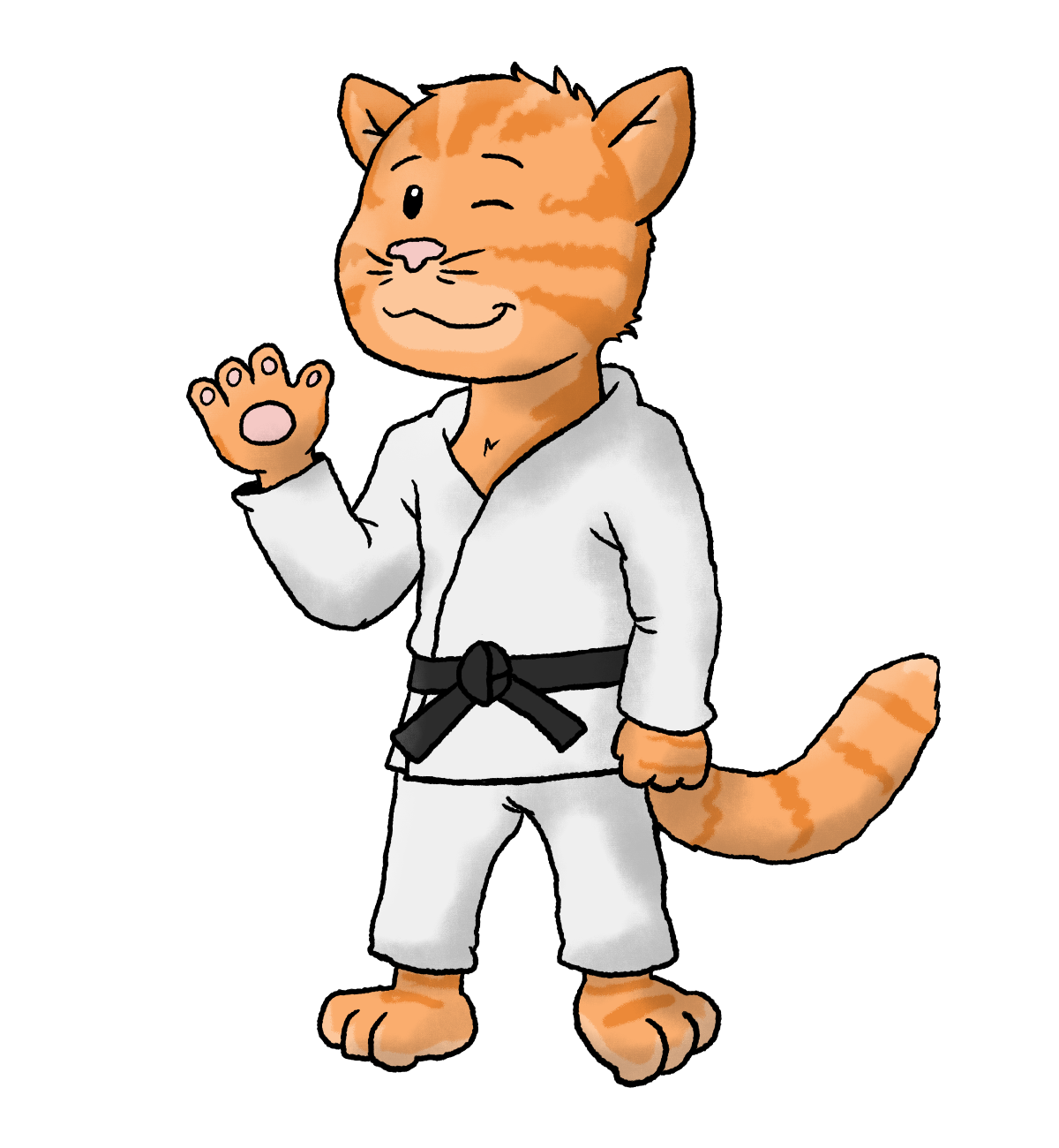 judo kat poes dier
